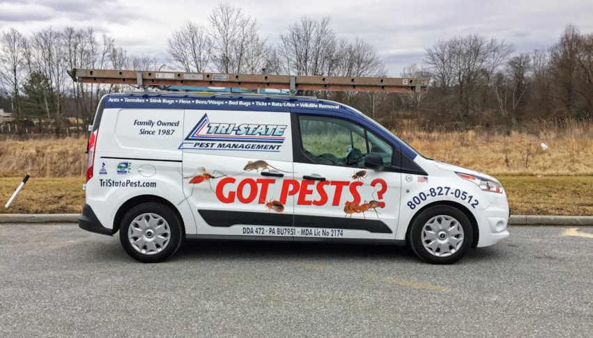 Vehicle Lettering in Tallahassee Vehicle Lettering in Tallahassee