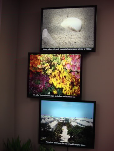 Digital Signs in Winter Park Digital Signs in Winter Park