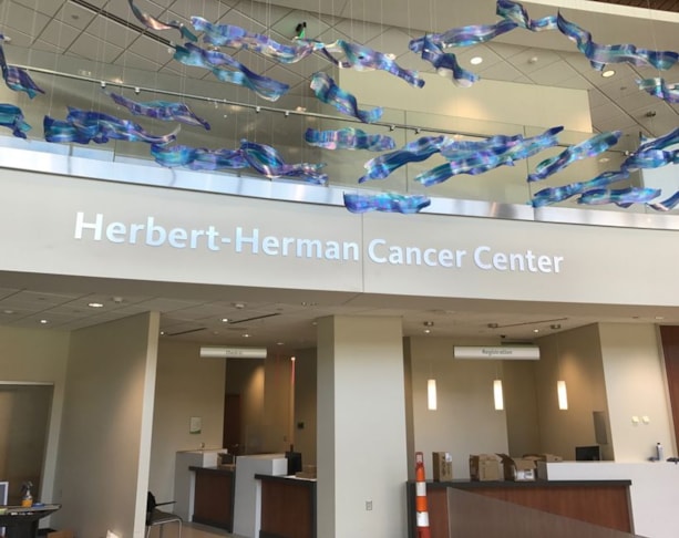 Ceiling Graphics & Displays in Rocky Mount Ceiling Graphics & Displays in Rocky Mount