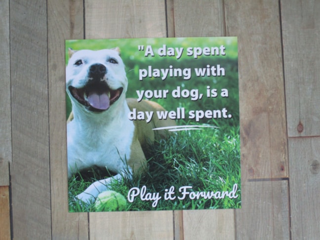 Exterior Signs Exterior Signs