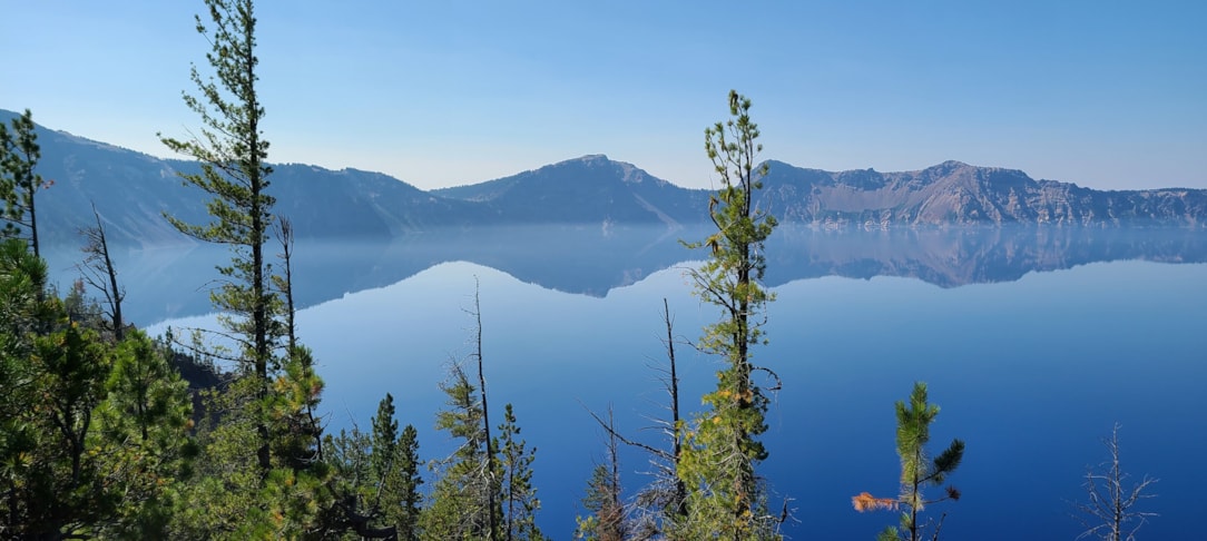 Custom Graphics & Vinyl Decals Custom Graphics & Vinyl Decals