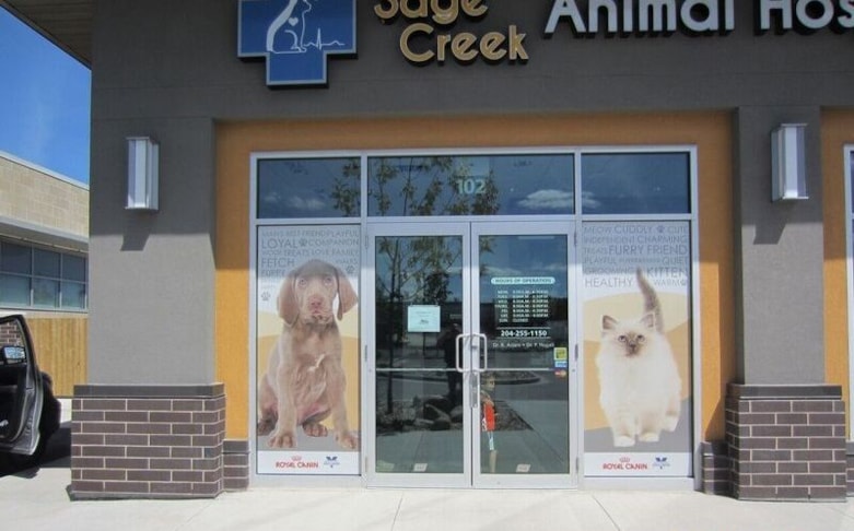 Window Graphics Window Graphics