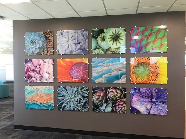 Wall Murals & Graphics Wall Murals & Graphics