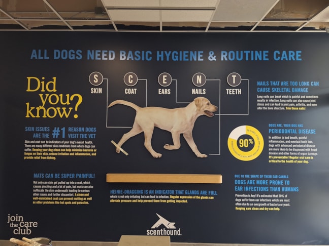 Wall Murals & Graphics Wall Murals & Graphics