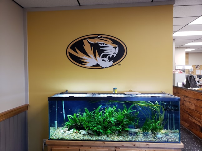 3D Signs & Dimensional Signs in Gladstone 3D Signs & Dimensional Signs in Gladstone